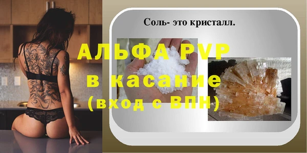 стафф Арсеньев
