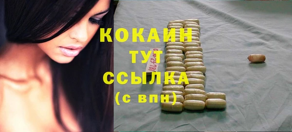 стафф Арсеньев