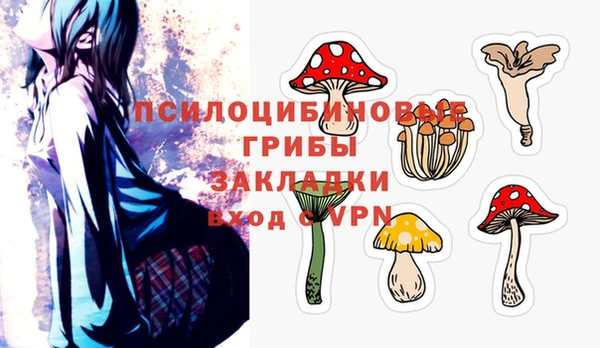 стафф Арсеньев