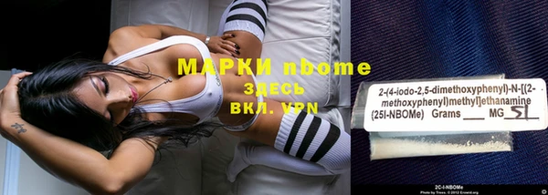 стафф Арсеньев